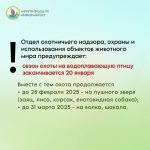 В Калмыкии завершают сезон охоты на водоплавающую дичь