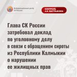 Жительница Калмыкии обратилась за поддержкой в СК России