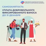 В Калмыкии самозанятым могут уплатить взносы на будущую пенсию