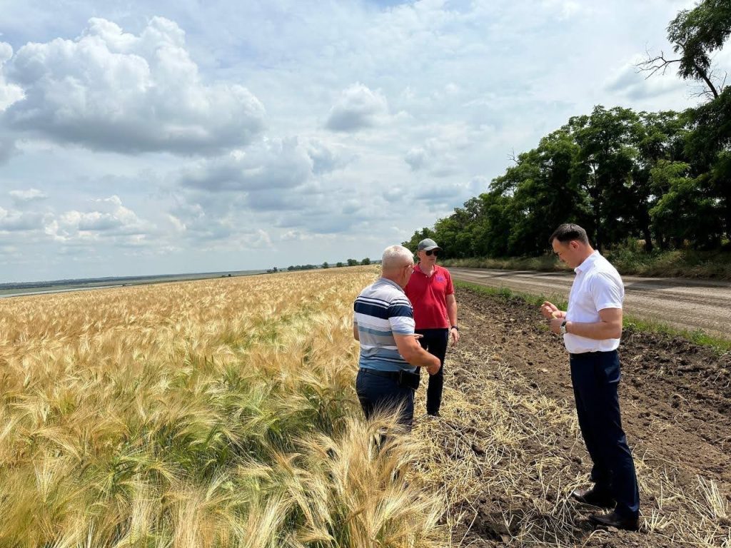 В Калмыкии увеличат посевную площадь под урожай 2024 года