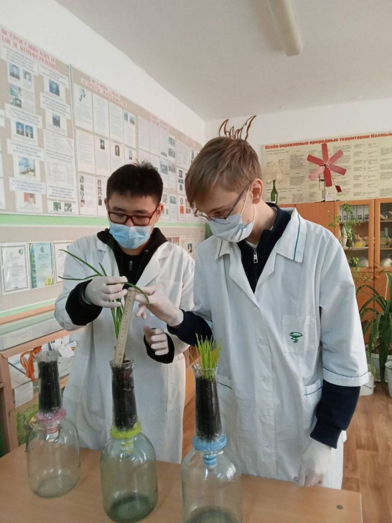 Школьники Калмыкии изобрели прибор для очистки воды