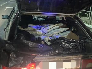 В Калмыкии пресекли незаконную транспортировку осетровых рыб